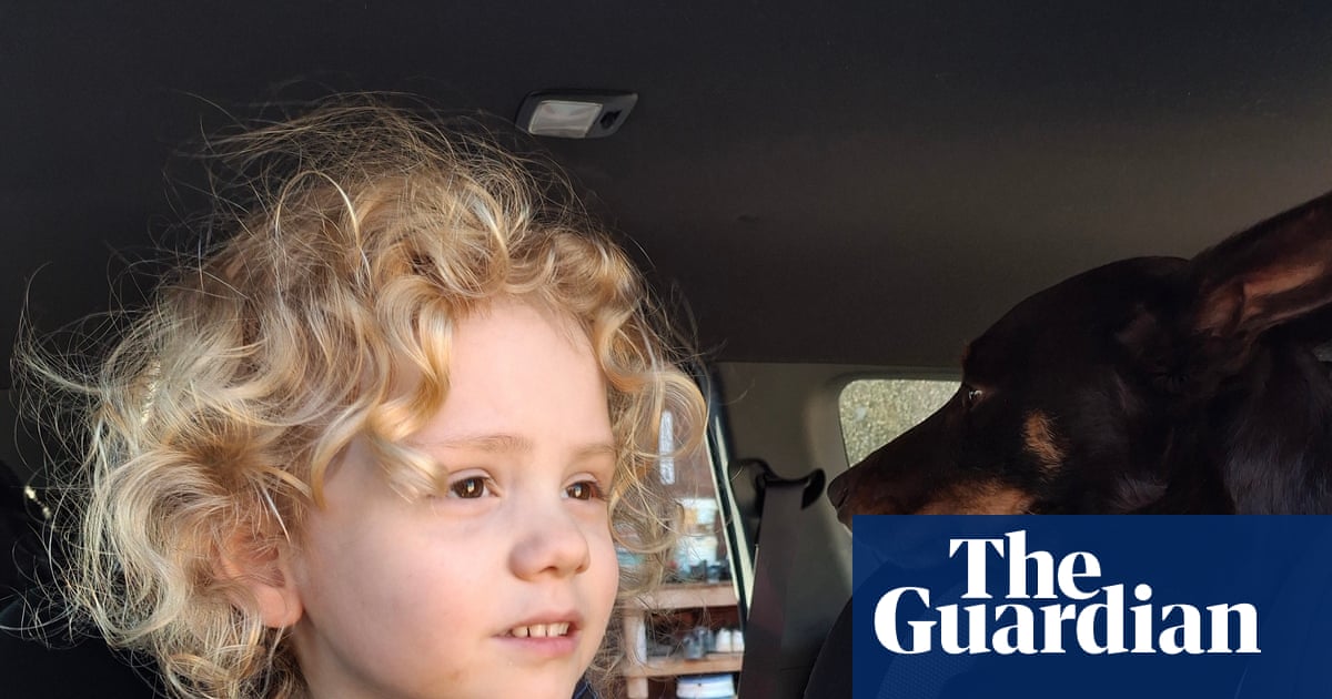 Four year-old Gus Lamont has been missing for a year. Police believe someone knows where he went | South Australia