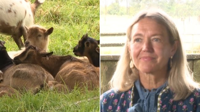 Rural food writer and farmer Sophie Hansen is not surprised that some kids don’t know where their food comes from