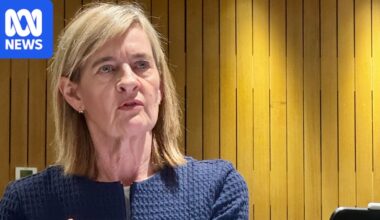 ASIC reveals hundreds of complaints about alleged audit misconduct by big four accounting firms