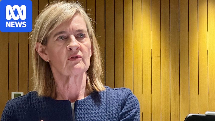 ASIC reveals hundreds of complaints about alleged audit misconduct by big four accounting firms