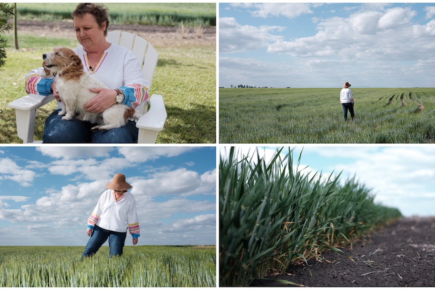 A collage of pictures of a person in a rural setting
