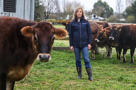 Dr Bronwyn Darlington with her jersey cows on the family farm in Carwoola, NSW.