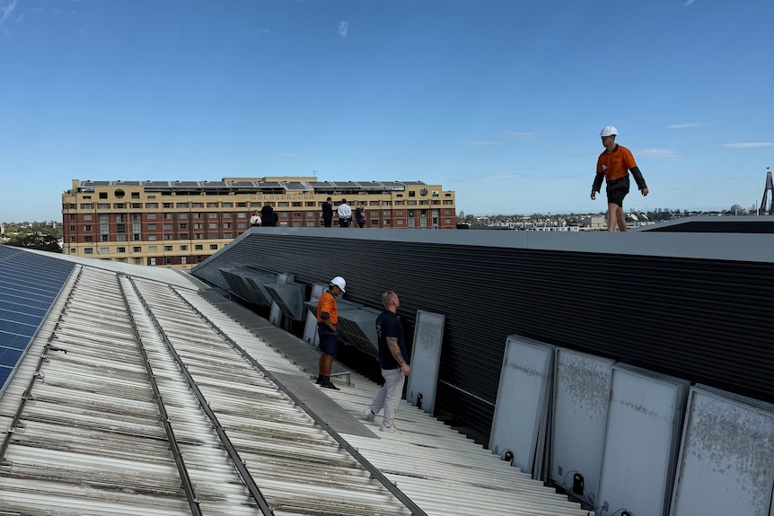 Construction workers in hi-vis installing solar panels.