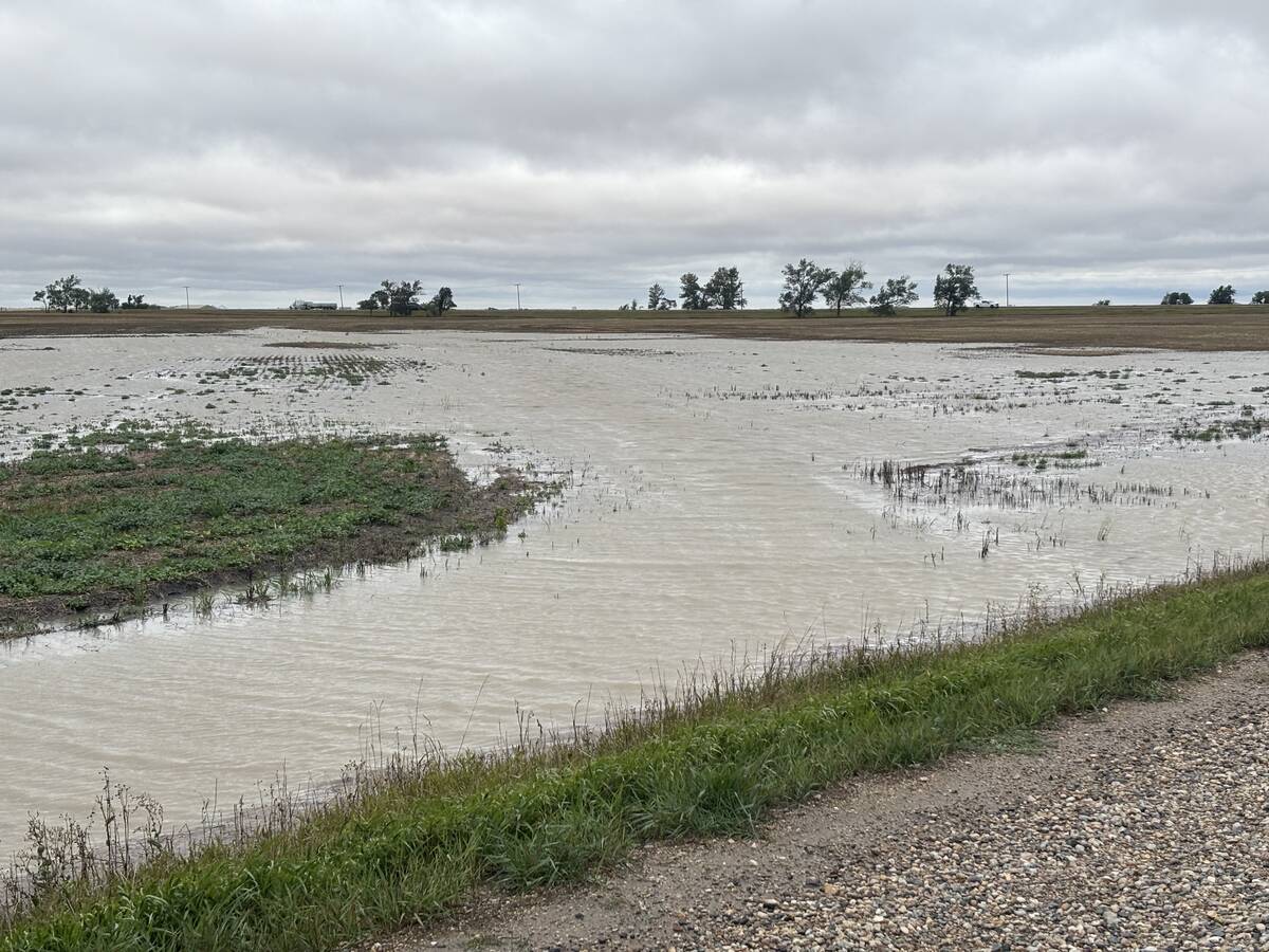 Heavy rains flood fields, delay harvest across the Prairies