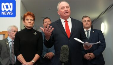 Barnaby Joyce pushes back on need to model impact of One Nation super policy