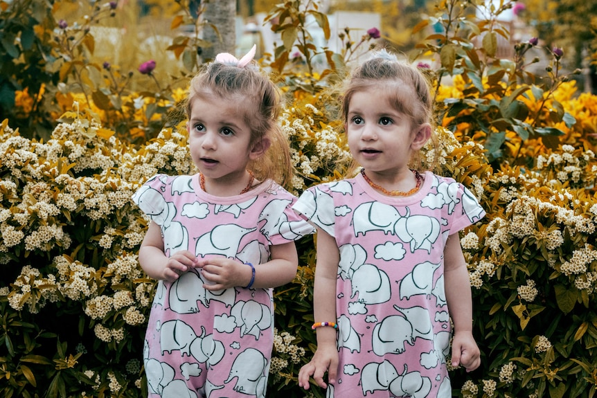 Twin girls in elephant print dresses amidst autumn blooms in Istanbul.
