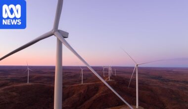 Renewable energy company wants to build 280-turbine wind farm on Tasmania's west coast