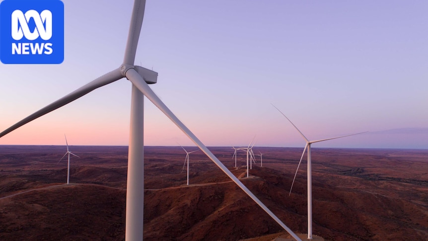 Renewable energy company wants to build 280-turbine wind farm on Tasmania's west coast