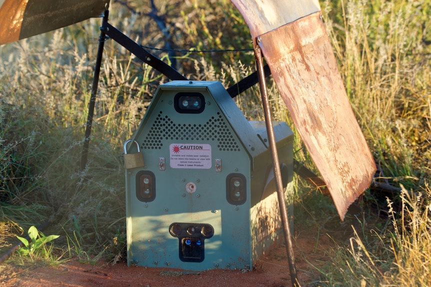 A Felixer grooming trap, a machine designed to kill cats. It is a grey-green box in grass.
