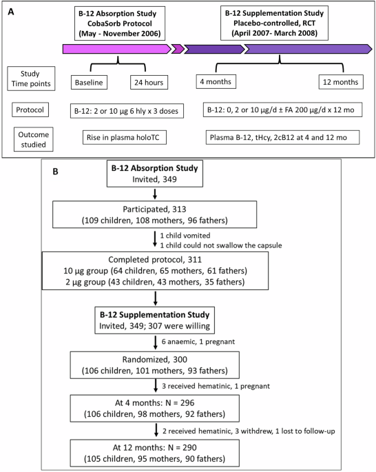 Vitamin B12 absorption and factors associated with the response to long-term oral B12 supplementation: a secondary analysis of data from a B12-deficient Indian rural community