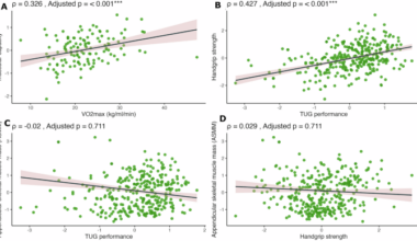 Associations of physical fitness with brain structure, pathology and cognition in cognitively normal older adults