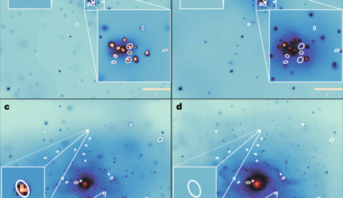 Hypersoft X-ray sources as a low-energy class of luminous cosmic emitter