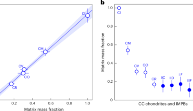 Planetesimal compositions governed by aerodynamic sorting from the onset of Solar System formation