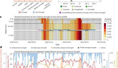 Multilayer soil moisture depletion intensifies drought impacts on global ecosystems