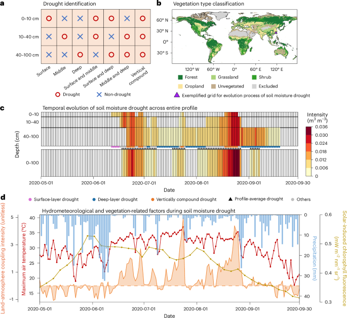 Multilayer soil moisture depletion intensifies drought impacts on global ecosystems