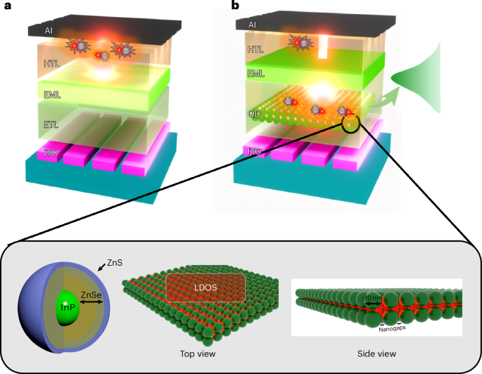 Inverted phosphorescent OLEDs with plasmon coupling from quantum dot interlayers for enhanced efficiency