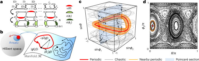 Quantum many-body mixed phase space revealed by hybrid feedback control