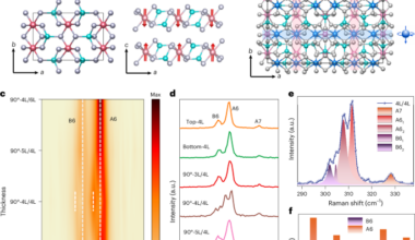 Altermagnetism in twisted van der Waals homostructures