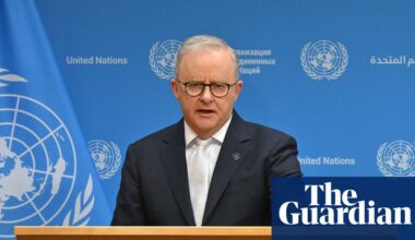 Albanese launches bid for UN security council seat and names former Murdoch aide to top diplomatic post | Anthony Albanese
