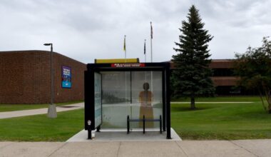 More bus shelters to get cultural makeovers 