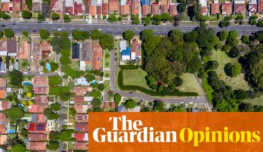 Labor is in damage control over falling house prices. Why not take credit instead? | Tom McIlroy