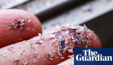 Rising microplastics in soil a threat to UK food security, MPs and campaigners say | Plastics