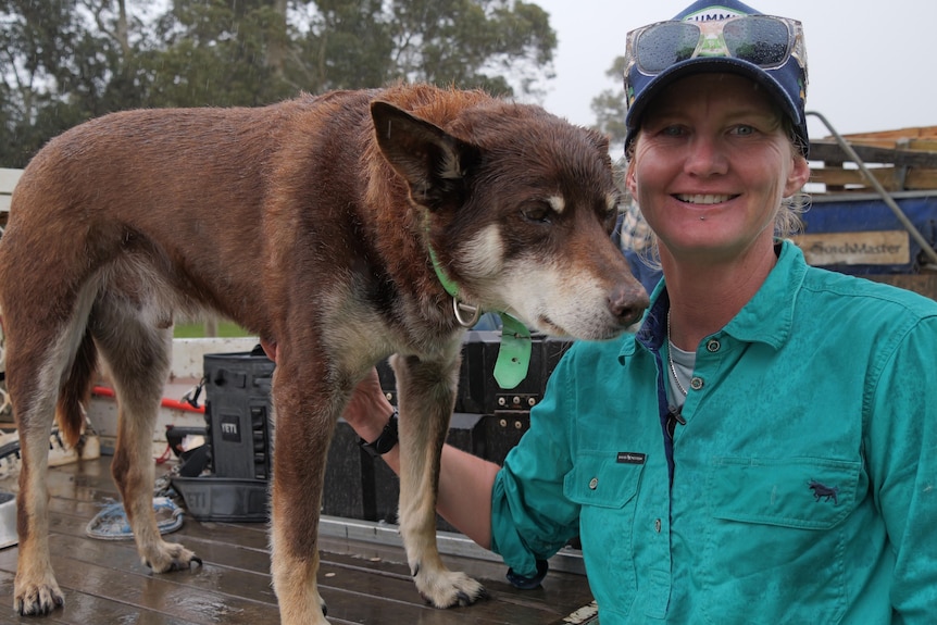 A kelpie stands on a ute tray with his smiling female owner alongside.