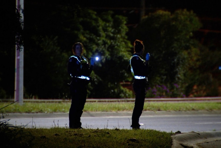 Two police officers shine torches onto a dark suburban street at night.