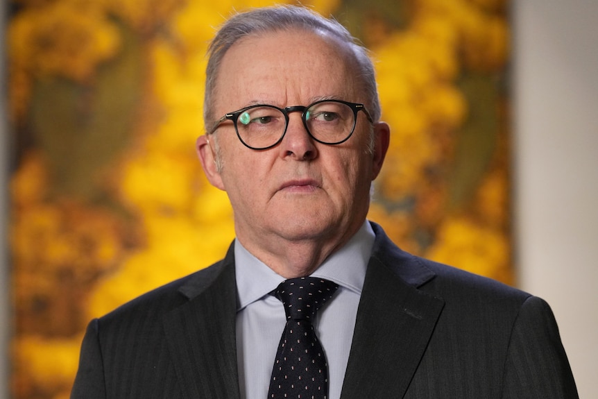 A man in glasses, a suit and tie in front of a painting of blossoming yellow wattle.