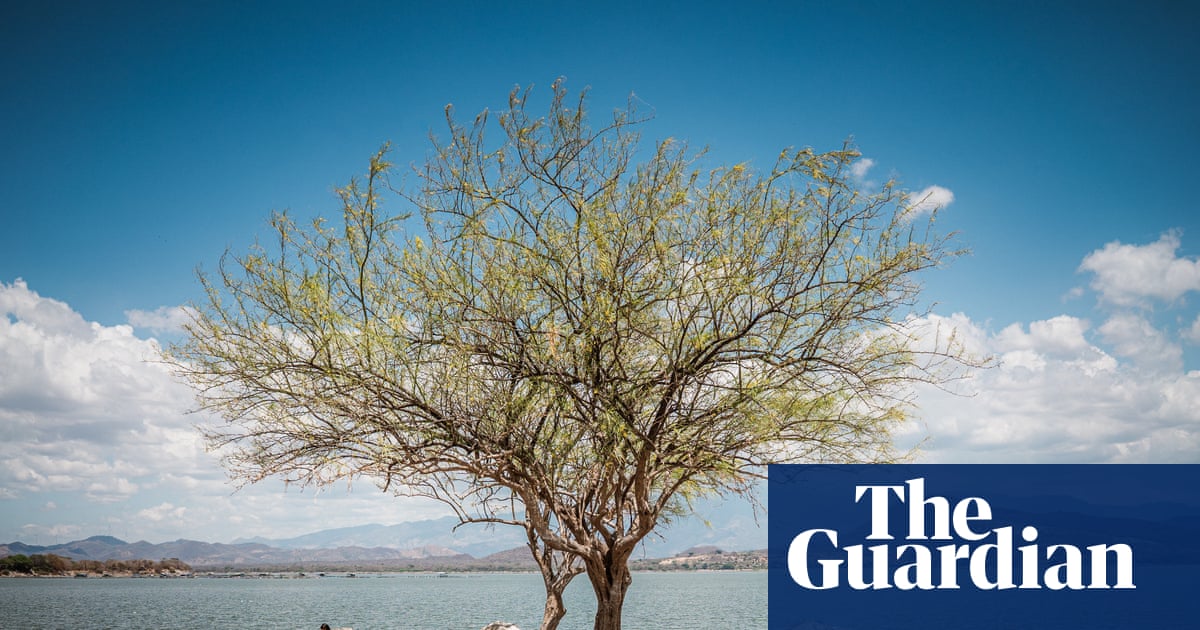 ‘They take the water, the springs dry up’: fear as Guatemalan goldmine plan is revived | Mining