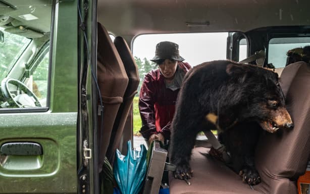 A taxidermy bear, used for presentations in elementary school workshops on the animal, is seen on the backseat of wild bear expert Akiko Takii's van as she packs up after setting a bear trap at a forest in Ina, Nagano Prefecture on July 6, 2026. The process of trapping, tagging and releasing the animals is part of a pioneering management plan launched in 1995, as authorities realised the bear population was shrinking in the mountainous region in the centre of Japan's Honshu island. And it is becoming part of a model of coexistence in the region that some experts believe is an alternative to the dominant practice of culling the animals in an effort to prevent attacks.