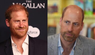 'Change the narrative': Prince Harry's plan to repair fractured reputation as he sets his sights on public reconciliation with Prince William