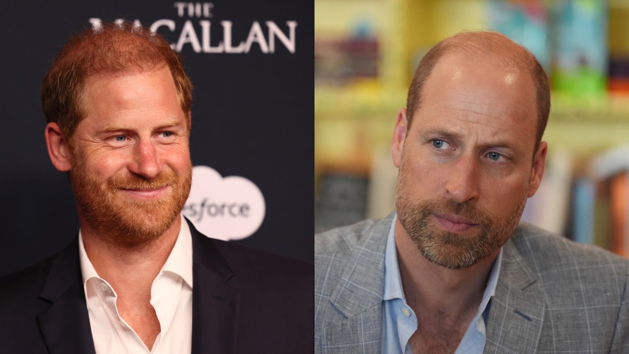 'Change the narrative': Prince Harry's plan to repair fractured reputation as he sets his sights on public reconciliation with Prince William