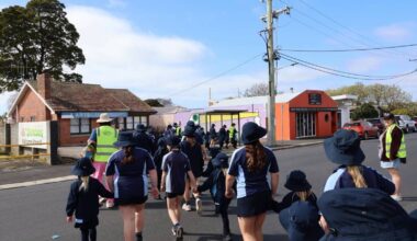 Sick and dead birds force partial lockdown at Wynyard school