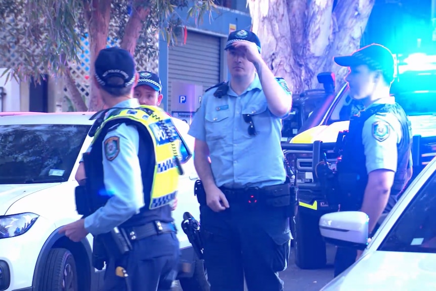 Police officers surround a suburban street.