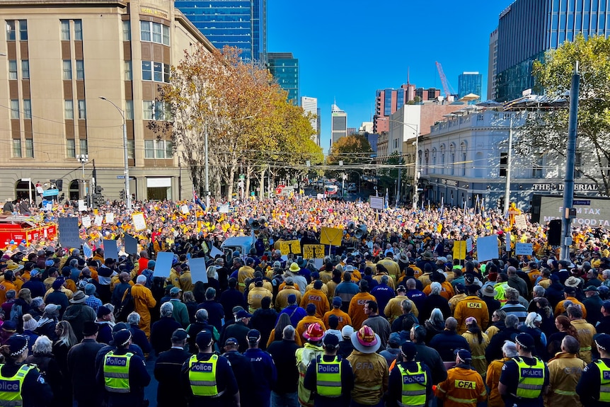 Thousands of people protest in a city street