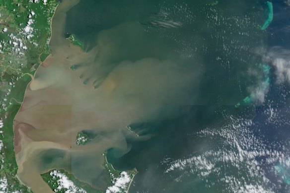 Satellite image of mud plumes at the mouth of Tully, Murray and Herbert Rivers, flowing into the Great Barrier Reef downstream from clearing, extracted by TropWATER/James Cook University.