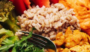 Fibre or protein? Which is really more important