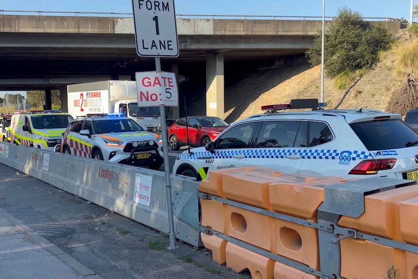 police cars at the scene of a crash and carkacking