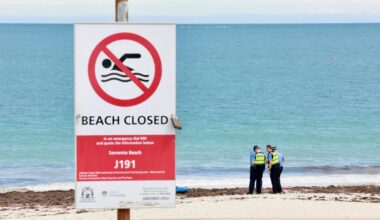 Witnesses recount horror of Sorrento shark attack - The West Australian