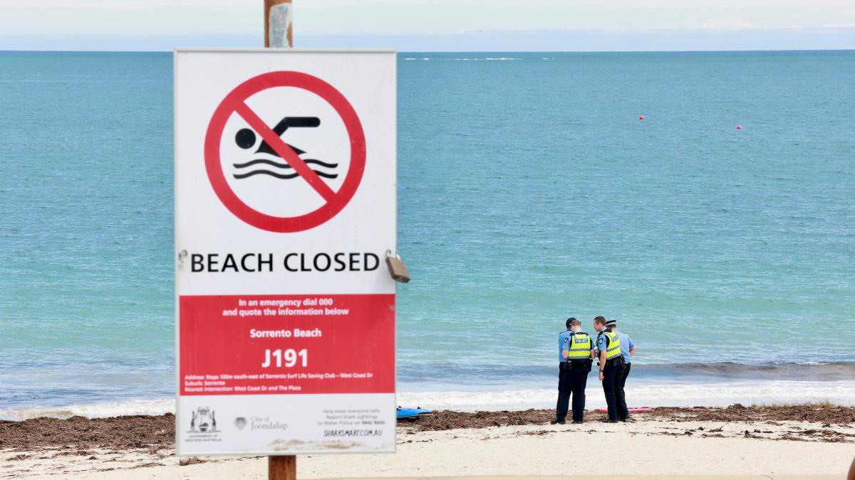 Witnesses recount horror of Sorrento shark attack - The West Australian