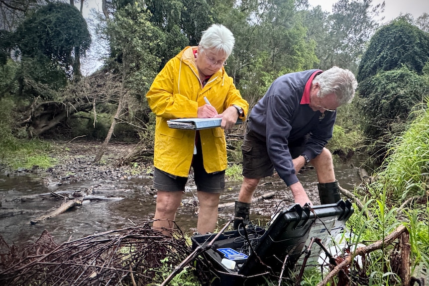 A man and woman in gumboots check water quality with equipment next to a creek.