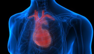 Balchem’s vitamin K2 linked to 21% slower CAC progression