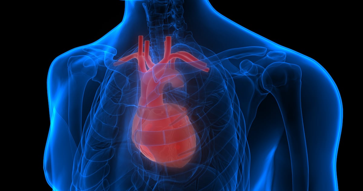 Balchem’s vitamin K2 linked to 21% slower CAC progression