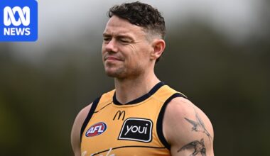 Why the AFL tribunal upheld Lions star Lachie Neale's AFL grand final ban