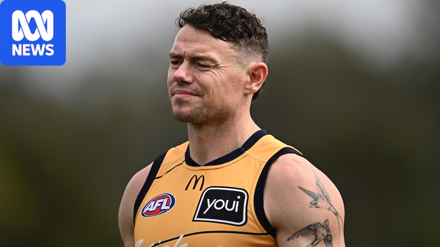 Why the AFL tribunal upheld Lions star Lachie Neale's AFL grand final ban