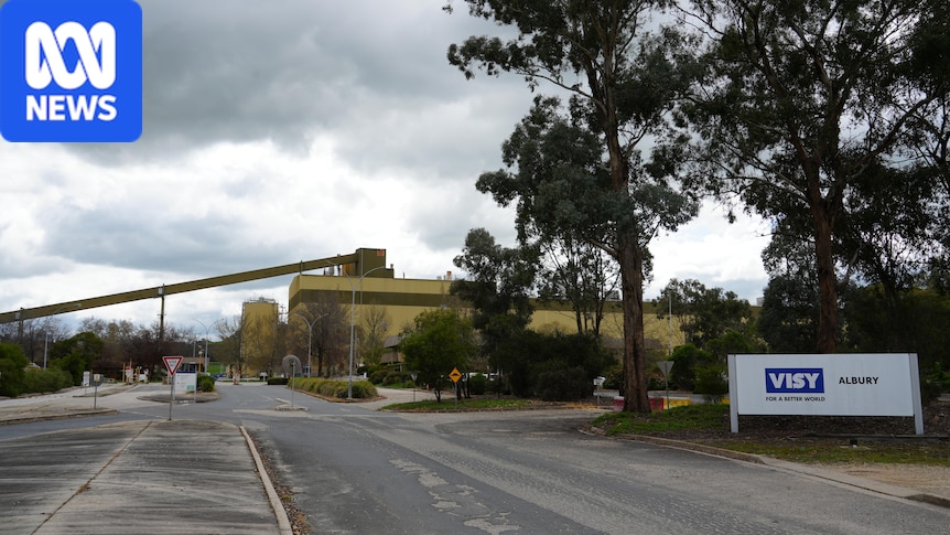 Ettamogah land sale to AI company raises health and environmental protection concerns