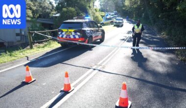 Second child dies after Blue Mountains stabbing, mother remains before the courts