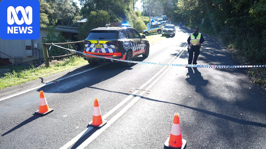 Second child dies after Blue Mountains stabbing, mother remains before the courts