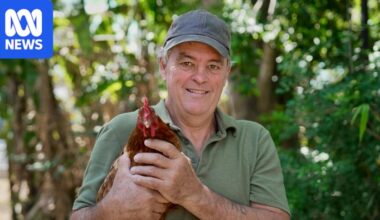 Home composting championed as fix to growing burden of organic waste in landfill